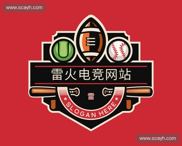 认识雷火电竞网站